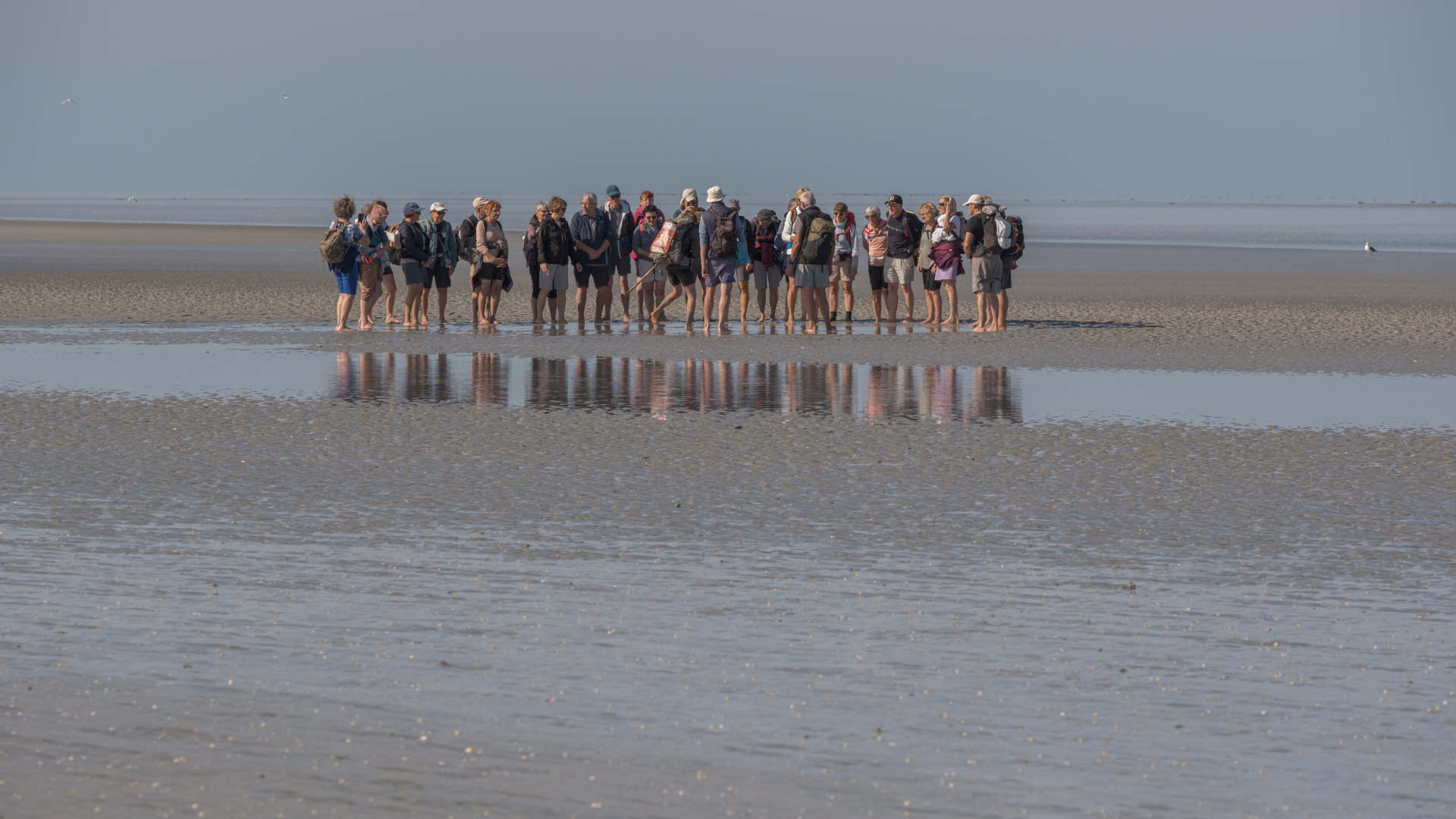 Visite guidée au Mont-Saint-Michel : un joyau entre ciel et mer