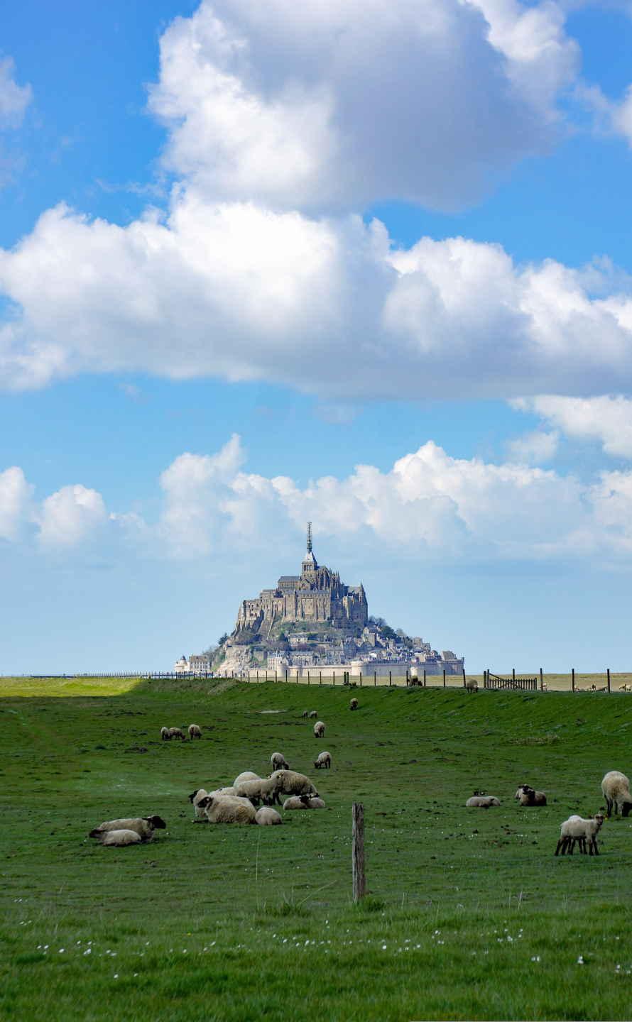 Visite guidée au Mont-Saint-Michel : un joyau entre ciel et mer